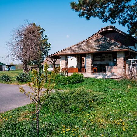 Sun City Vízisport Paradicsom Hódmezővásárhely Kültér fotó