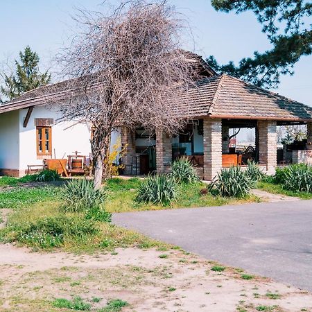 Sun City Vízisport Paradicsom Hódmezővásárhely Kültér fotó